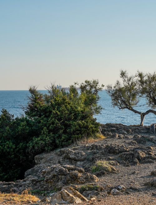 9. La Tamerice di Antignano